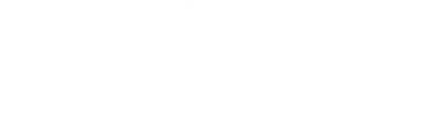 logo-nivex-weiss-400